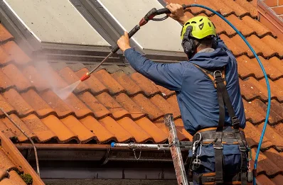 Démoussage et hydrofuge de toiture à Lartigue